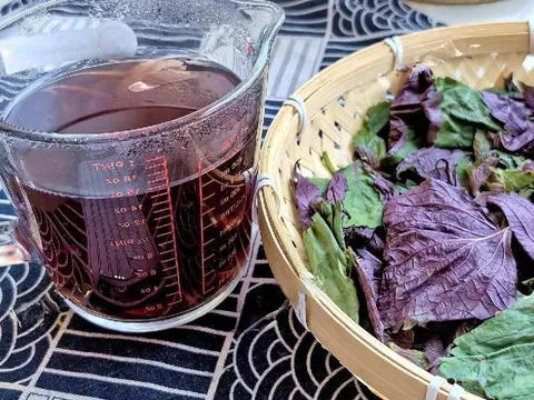 Cách uống nước tía tô đậu đen giảm cân, đẹp da, thải độc gan