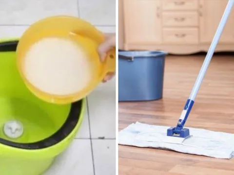 Lau nhà đừng chỉ lau với nước: Thêm 1 nguyên liệu rẻ tiền này, nhà sạch bong, thơm mát cả tuần