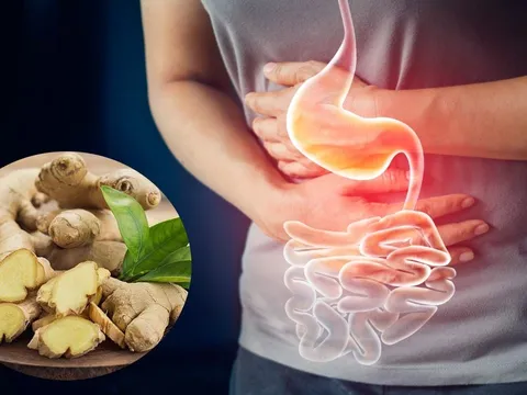 Cách ăn gừng giảm đau dạ dày hiệu quả