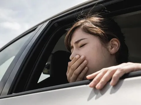 Có một số người dễ dàng bị say xe ngay khi vừa lên xe, còn số khác lại không bị. Lý do vì sao?