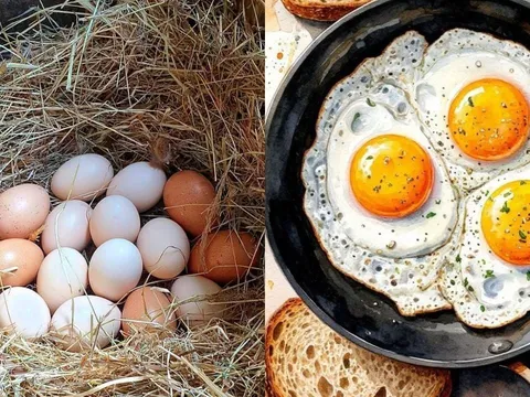 Trứng giàu dinh dưỡng nhưng 6 trường hợp này không nên hoặc hạn chế ăn