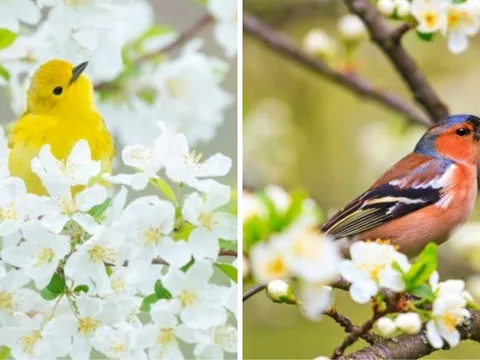 5 số cuối ngày sinh Âm lịch mang mệnh đại phúc: Càng lớn tuổi, phúc lộc càng sâu dày