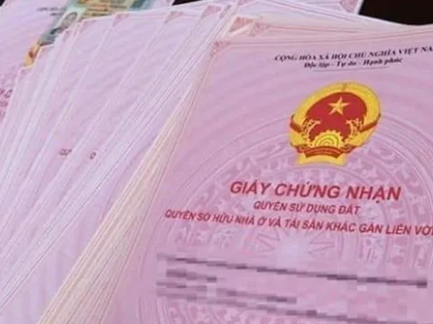 Hàng triệu người được hưởng lợi từ Luật Đất đai 2025: Quyền lợi đặc biệt bạn không thể bỏ lỡ