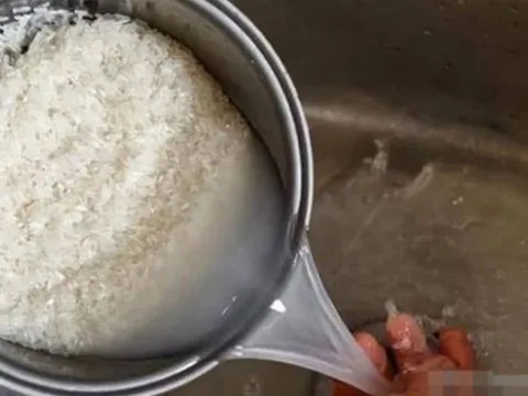 Nước vo gạo: “Báu vật” tuyệt vời, đừng đổ đi! Cách dùng giúp chăm sóc sức khỏe hiệu quả, tiết kiệm chi phí
