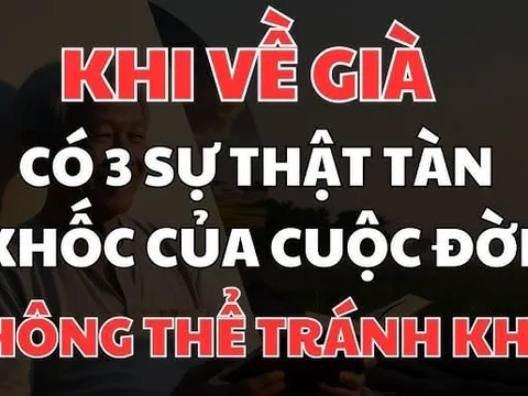 3 sự thật Tàn Khốc của tuổi già, mà khi còn trẻ nên biết kẻo hối hận