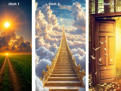 Quiz: Chọn 1 trong 3 hình ảnh cho biết bạn đã thực sự đủ quyết tâm và nỗ lực hết sức để làm giàu