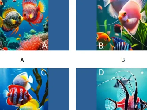 Quizz: Bạn sẽ gặt hái thành tựu lớn nào trong năm nay?