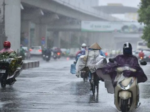 Đêm nay và ngày mai, Hà Nội mưa rét, nhiệt độ thấp nhất 12 độ C