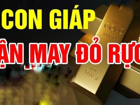 Top 3 con giáp Tứ Phương Tụ Lộc, sang tháng 12 mở cửa Tiền ùa về