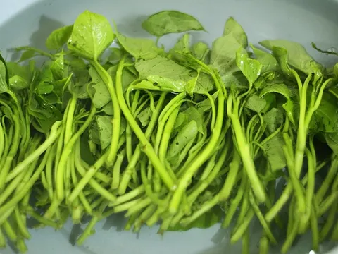5 loại rau lành tính, ít thuốc, giá rẻ, không mua là phí
