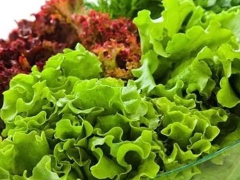Cảnh báo: 3 loại rau dễ nhiễm hóa chất và ký sinh trùng nhưng người Việt thường ăn hàng ngày