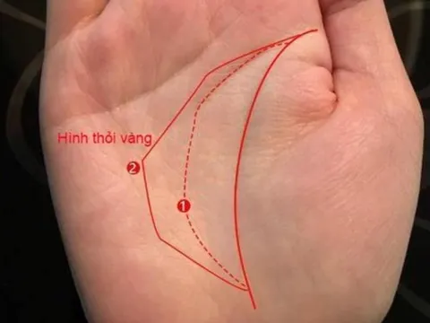 Đây là tướng tay có phúc, người sở hữu nó có cuộc đời nhiều may mắn, tiền bạc và tài lộc luôn rủng rỉnh