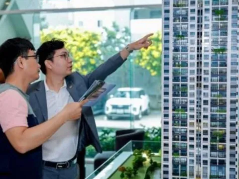 Dự báo giá chung cư 2026: Chuyên gia tiết lộ cơ hội “vàng” cho người chưa có nhà ở