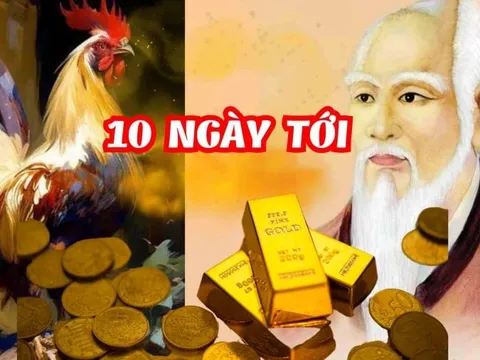 Liên tiếp 10 ngày (21/11-30/11): 3 con giáp Tiền đổ về như thác cuốn