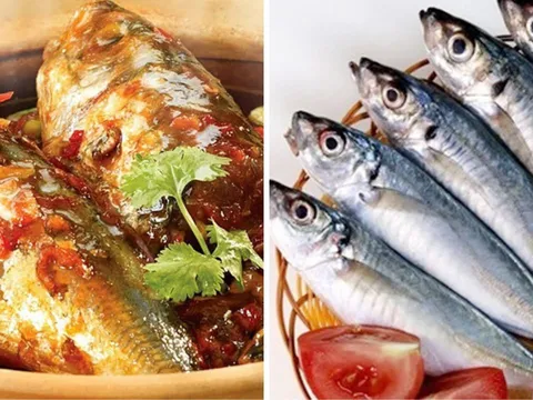 Loại cá “bình dân” giàu protein gấp 6 lần sữa, omega-3 vượt cá hồi: Chợ Việt bán rất nhiều, ai cũng mua được