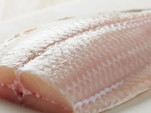 Việt Nam có loại cá bổ dưỡng ngang cá hồi, giá mềm, nhiều nước tranh mua không kịp