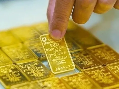 Giá vàng hôm nay 21/11: Vàng miếng và vàng nhẫn đồng loạt giảm sốc