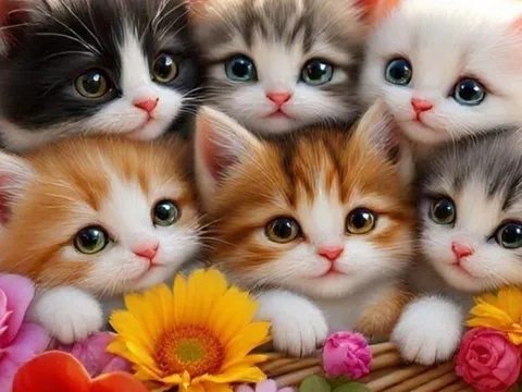 2 tuổi không kiếm tiền giỏi nhưng Phu Thê và Tử Tức tốt lành, 1 tuổi tài giỏi giàu có lại dễ cô đơn