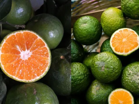 Cách chọn cam sành ngon, ruột vàng ươm mọng nước, ngọt thơm không khô