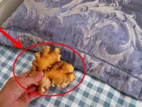 Đặt gừng dưới gối trước khi ngủ, nhận ngay 5 lợi ích tuyệt vời