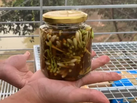 Hoa đu đủ đực ngâm mật ong cực tốt nhưng đại kỵ với 4 người này