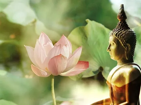 Phật dạy, 4 nguyên tắc thoát khỏi kiếp nghèo