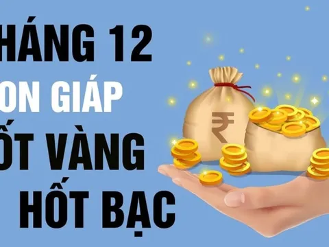 Cửa Tiền Tài mở đúng tháng 12/2025: 3 con giáp nhận lộc liên hồi