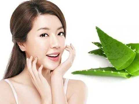 Nha đam - “thần dược” trong làm đẹp