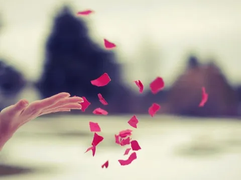 Đây là 4 thứ sẽ "hút sạch" phúc khí của một gia đình