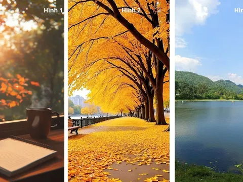 Quiz: Chọn 1 trong 3 hình ảnh để xem bạn có đang Giàu Năng lượng cho những ngày cuối năm bận rộn?