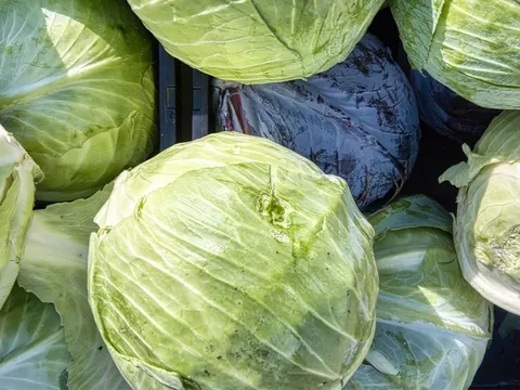 5 người không nên ăn rau cải bắp