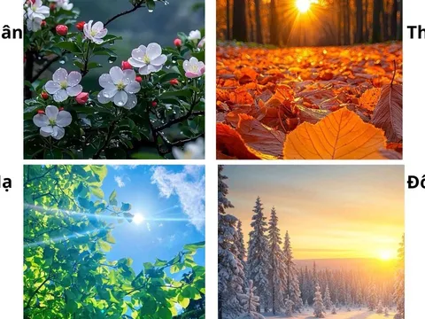 Quiz: Chọn 1 trong 4 hình ảnh mùa trong năm, để khám phá con người thật, chìa khóa giúp bạn giàu có