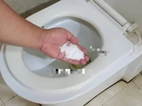 Bỏ một nắm muối vào bồn cầu: Mẹo đơn giản giúp tiết kiệm hàng trăm nghìn mỗi năm