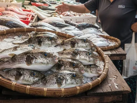 Cảnh báo: Loại cá kịch độc khiến nhiều người rơi vào nguy kịch sau khi ăn