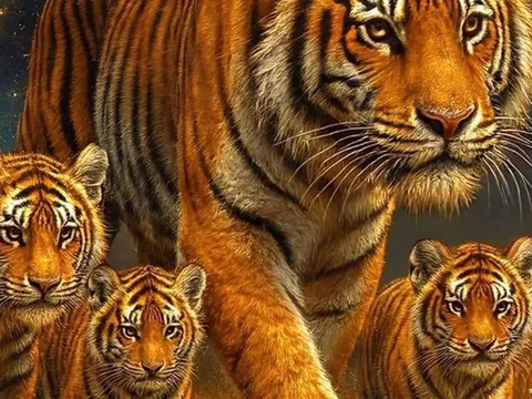 3 con giáp nội tâm mạnh mẽ, ít nói, ít than thở, dù khó khăn cũng không kể lể, luôn giàu năng lượng