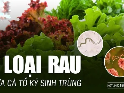 3 loại rau nhiều kí sinh trùng bám nhất, muốn ăn phải làm 1 việc