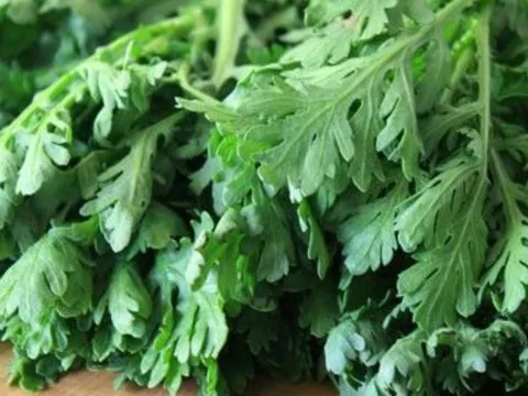 Rau cải cúc: thứ rau tuyệt vời của mùa đông nhưng cần lưu ý để giữ dinh dưỡng tốt nhất