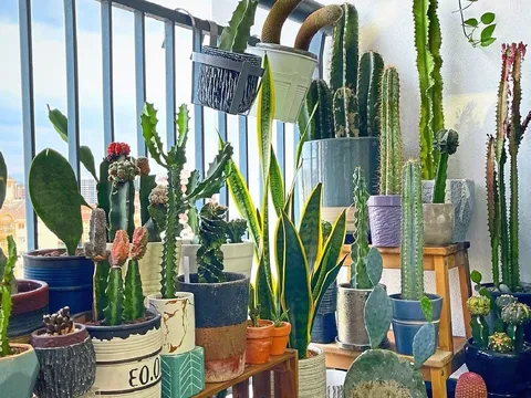 Ban công để 3 thứ này, dễ khiến nhà bạn hao tài tốn của và hay bệnh tật ốm đau