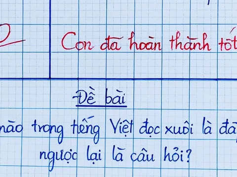 Câu đố tiếng Việt khiến bạn phải ngỡ ngàng: Đọc xuôi là đáp án, đọc ngược thành câu hỏi