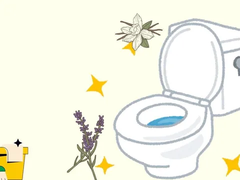 5 mẹo khử hôi chống ẩm giúp nhà vệ sinh luôn thơm mát rất dễ lại rẻ tiền