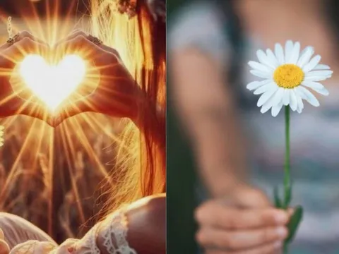 Cứng thì dễ bị bẻ gãy, mềm thì dễ bị chà đạp: Người biết Cương Nhu hài hòa mới thực sự Trí Tuệ