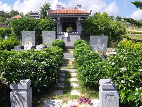 4 loại cây không nên trồng quanh mộ phần tổ tiên, trồng sai ảnh hưởng nghiêm trọng đến âm trạch