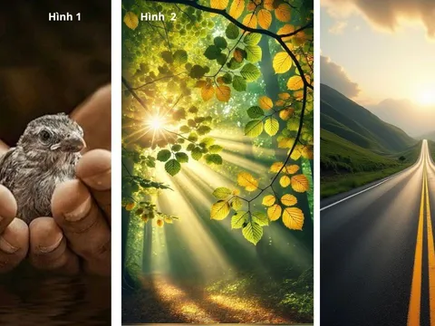 Quiz: Chọn 1 trong 3 hình sẽ tiết lộ bạn thực sự Giàu Lòng Trắc Ẩn và Nhân Hậu đến mức nào