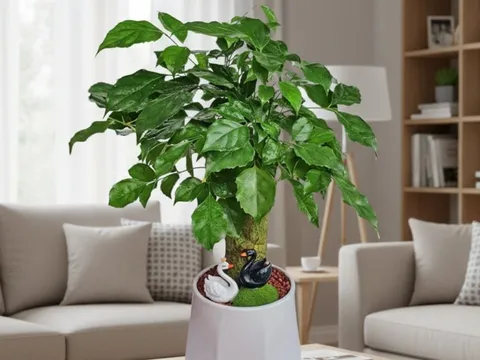 Bí quyết trồng cây Hạnh phúc: Bí mật giúp nhà ấm cúng, hút năng lượng may mắn mỗi ngày