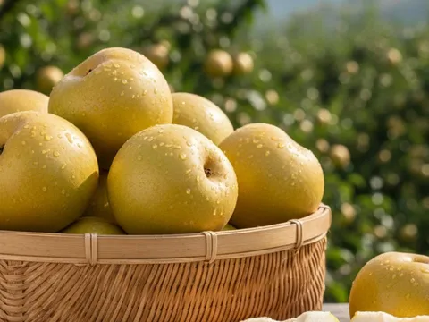 Loại quả thuộc top tốt cho sức khỏe, trồng nhiều ở Việt Nam: Giá chỉ từ 20.000đ/kg mà ngon khó cưỡng