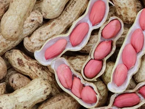 Điều gì xảy ra với cơ thể nếu thường xuyên ăn lạc (đậu phộng)?