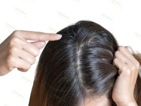 Mẹo chăm sóc tóc bạc cho phụ nữ trung niên tránh khô xơ, ngả vàng