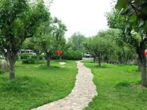 5 vị trí vàng trong nhà giúp 9/10 gia đình phát tài, hút tài lộc đỉnh cao