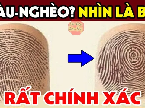 Đếm số hoa tay, biết ngay tài vận giàu nghèo