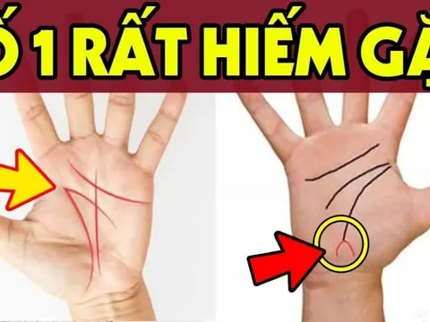 Nhìn tướng tay 3 giây biết bạn giàu sang hay thất bại